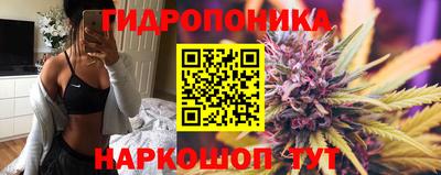 герыч Дубна