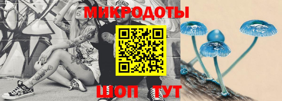 Кизилюрт  Галлюциногенные грибы Magic Shrooms  где продают наркотики  Вход с VPN 